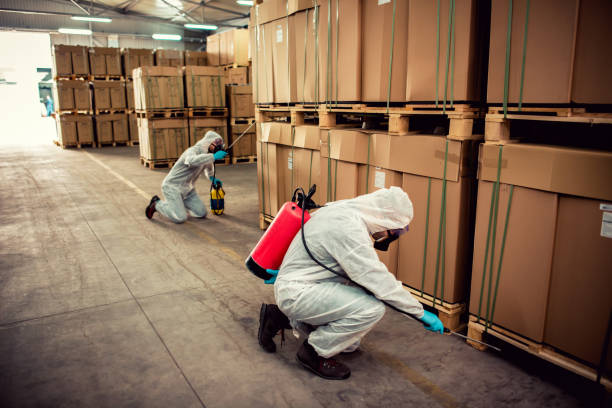 Professional Pest Control in Goose Creek, SC