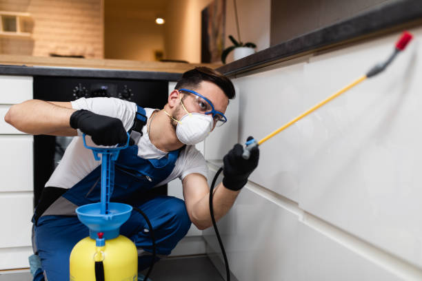 Best Affordable Pest Control Services  in Goose Creek, SC