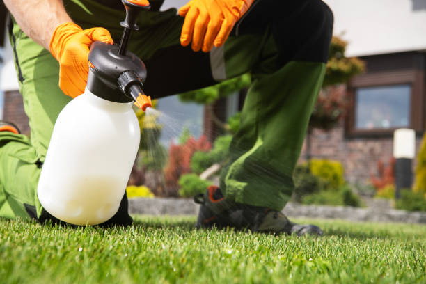 Best Affordable Pest Control Services  in Goose Creek, SC