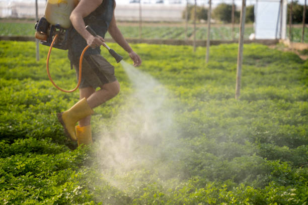 Best Best Pest Control Companies  in Goose Creek, SC