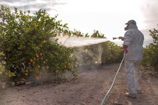 Best Affordable Pest Control Services  in Goose Creek, SC